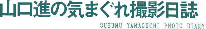 山口進の気まぐれ撮影日誌